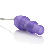 Cal Exotics Passion Bullets - Bullet and Mini Probe Kit
