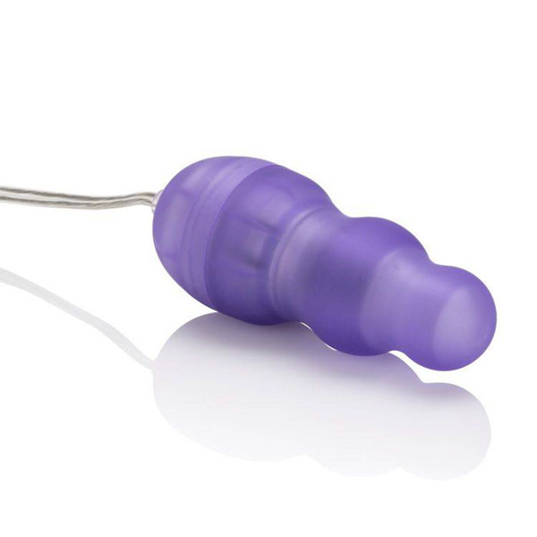 Cal Exotics Passion Bullets - Bullet and Mini Probe Kit