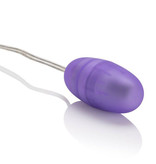 Cal Exotics Passion Bullets - Bullet and Mini Probe Kit