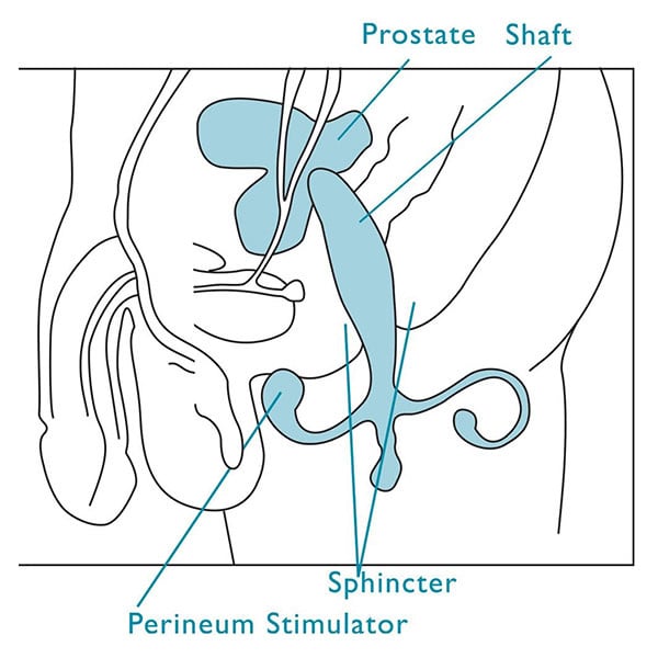 Euphoria Enhanced Male Prostate Stimulator