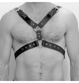 Premium Products Donovan Chest Harness