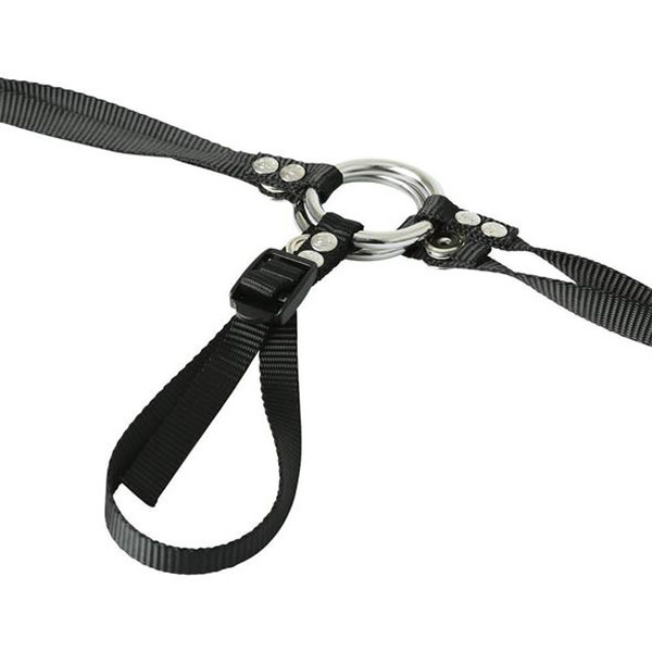 Sportsheets Sportsheets Bare As You Dare Harness