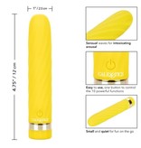 Cal Exotics Slay #SeduceMe Mini Vibe