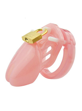 CB-6000S Style Plastic Chastity Cage (Pink)