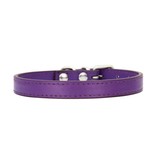 Premium Products Basic Buckle Collar (Purple)