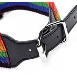 XR Brands Kinky Pride Rainbow Bondage Set