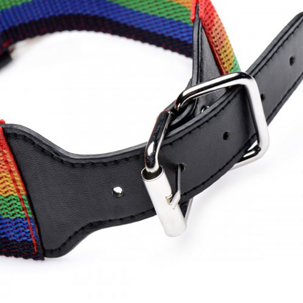 XR Brands Kinky Pride Rainbow Bondage Set