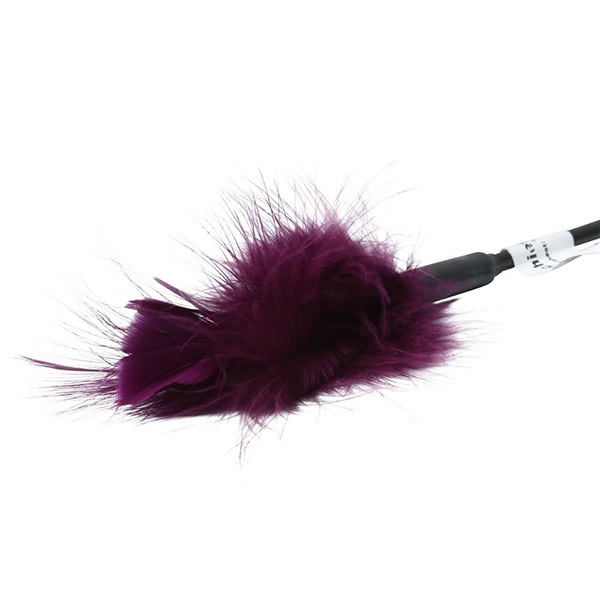 Sportsheets Sportsheets Feather Tickler (Purple)