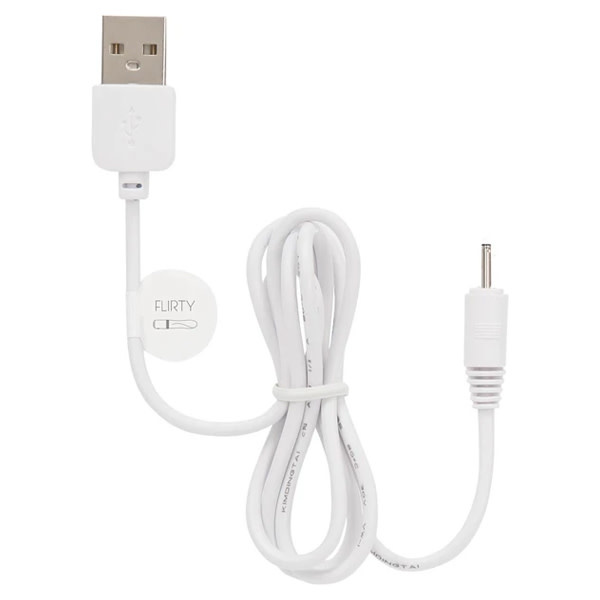 BMS Enterprises Replacement Charge Cord: Pillow Talk Flirty