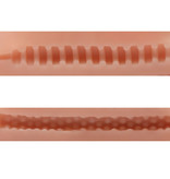 XR Brands Jesse Jane's Side Action Pussy & Ass