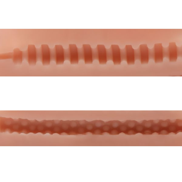 XR Brands Jesse Jane's Side Action Pussy & Ass