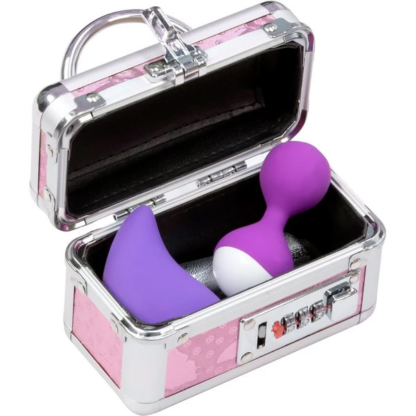 BMS Enterprises Mini Lockable Vibrator Case (Pink)
