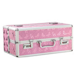 BMS Enterprises Lockable Vibrator Case: Large (Pink)