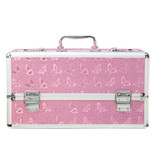 BMS Enterprises Lockable Vibrator Case: Large (Pink)