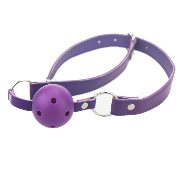 Premium Products Breathable Ball Gag (Purple)