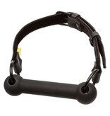 Cal Exotics Boundless Bar Gag