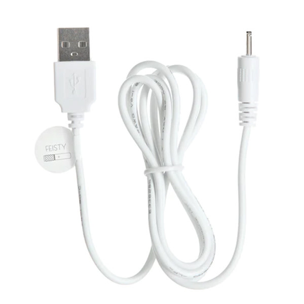 BMS Enterprises Replacement Charge Cord: Pillow Talk Feisty