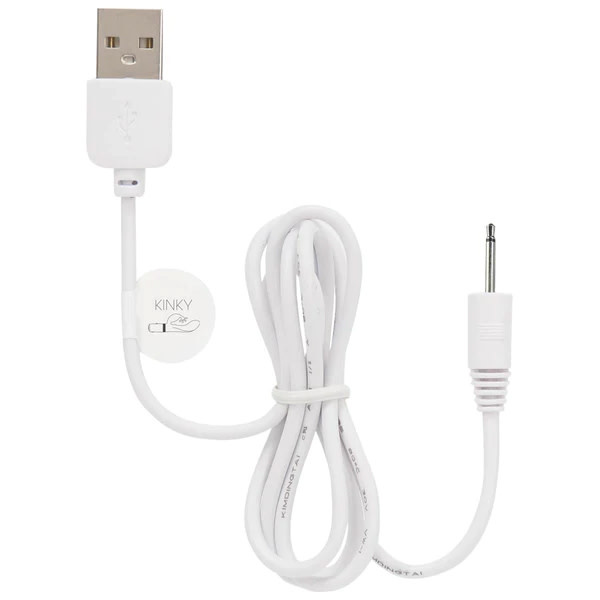 BMS Enterprises Replacement Charge Cord: Pillow Talk Kinky