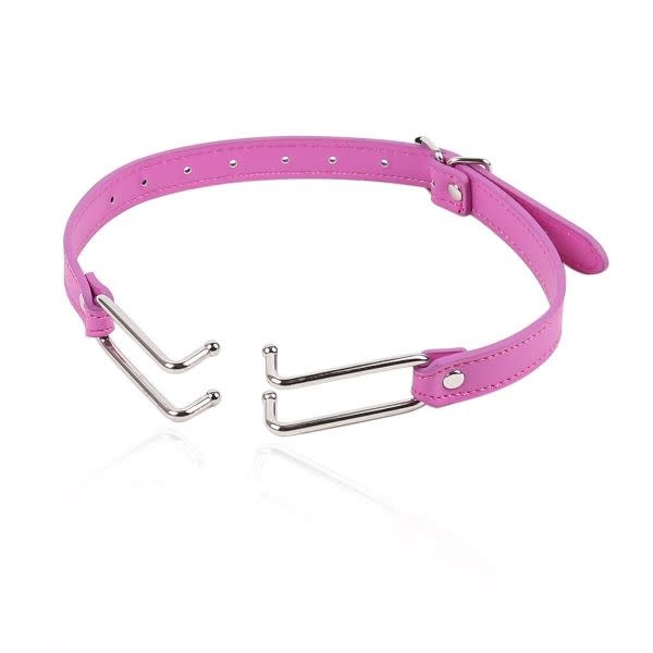 Premium Products Hook Mouth Gag (Pink)