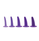 Evolved Toys Evolved Silicone Dilator Training Kit (Purple)