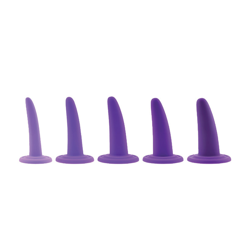 Evolved Toys Evolved Silicone Dilator Training Kit (Purple)