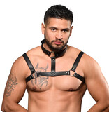 Andrew Christian Menswear Choker Harness (One Size)