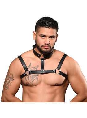 Andrew Christian Menswear Choker Harness