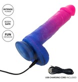 Cal Exotics Naughty Bits Ombré Hombre XL Vibrating Dildo
