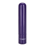 Cal Exotics Tiny Teasers Bullet Vibe