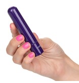 Cal Exotics Tiny Teasers Bullet Vibe