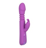 Cal Exotics Jack Rabbit Elite Thrusting Rabbit Vibrator