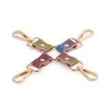 NS Novelties Spectra Bondage: Rainbow Hog Tie