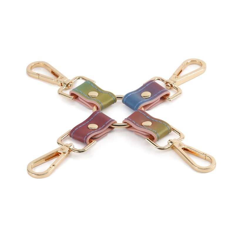 NS Novelties Spectra Bondage: Rainbow Hog Tie