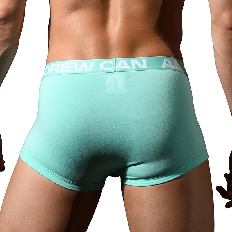 Andrew Christian Menswear TROPHY BOY Bamboo Boxer (Mint)
