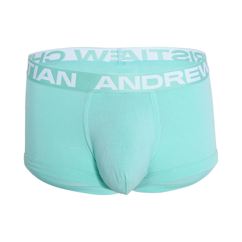 Andrew Christian Menswear TROPHY BOY Bamboo Boxer (Mint)