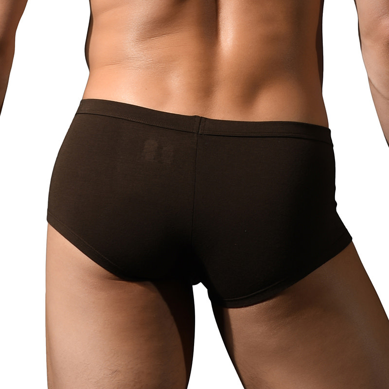 Andrew Christian Menswear "SEX" Bamboo Boxer w/ ALMOST NAKED (Brown)