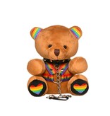 XR Brands Pride Teddy Bear Plush