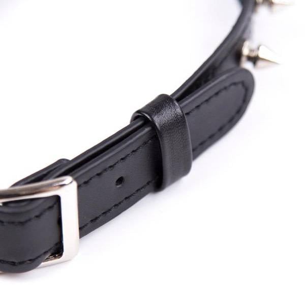 Premium Products Spiked Black Leather Collar