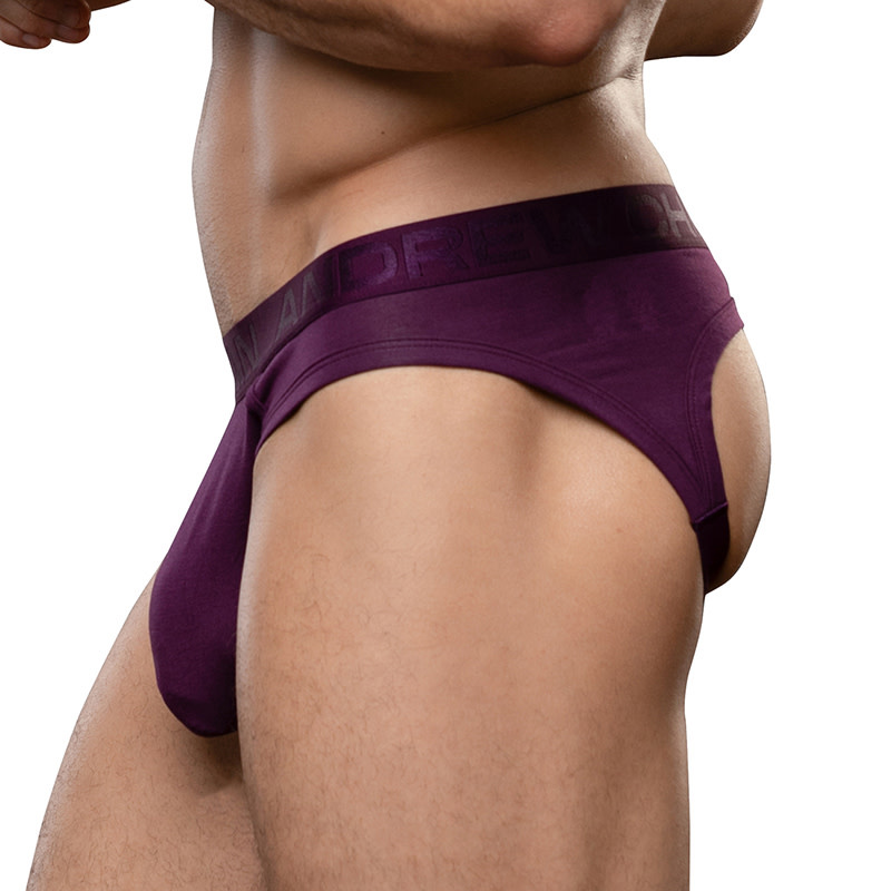 Andrew Christian Menswear TROPHY BOY Bamboo Locker Room Jock (Eggplant)