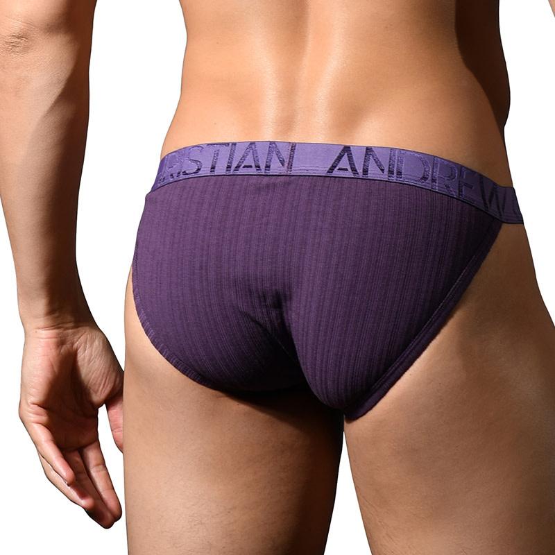 Andrew Christian Menswear Deluxe Rib Brief w/ ALMOST NAKED (Purple)