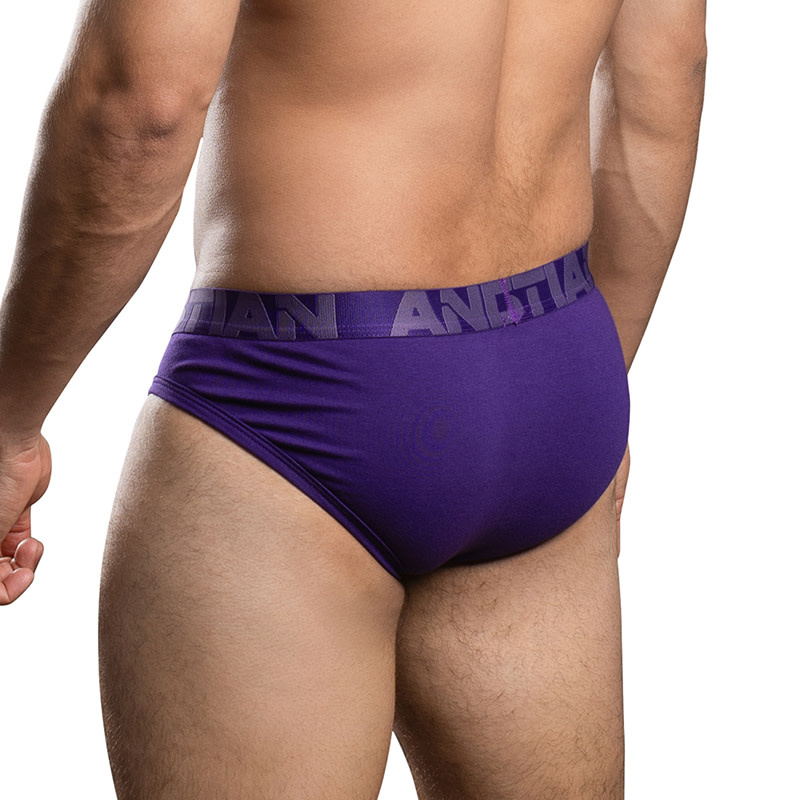 Andrew Christian Menswear Bulge C-Ring Brief (Purple)