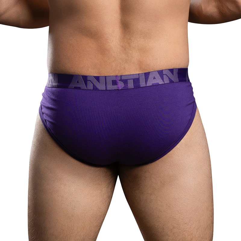 Andrew Christian Menswear Bulge C-Ring Brief (Purple)