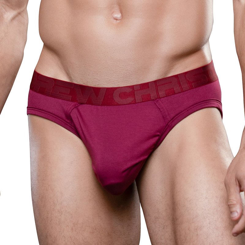 Andrew Christian Menswear Big Fat Dick Bamboo Brief (Rio Red)
