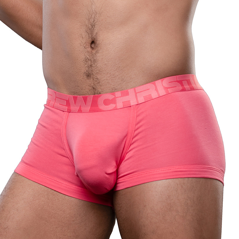 Andrew Christian Menswear Big Fat Dick Bamboo Boxer (Teaberry)