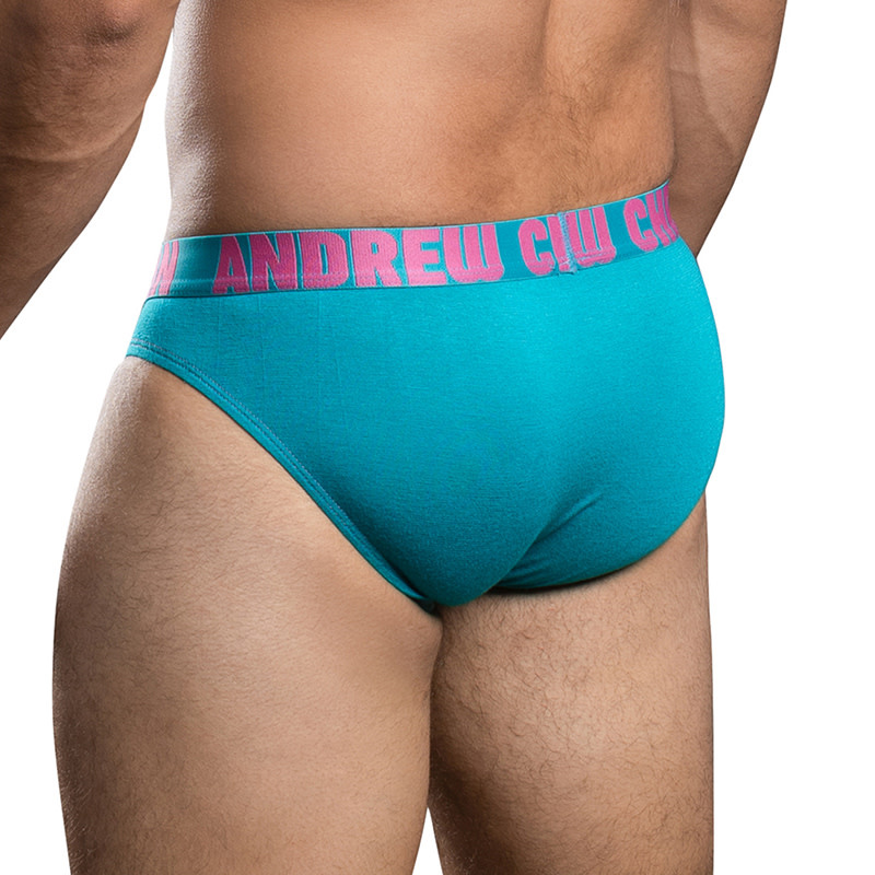 Andrew Christian Menswear Happy Cotton Brief w/ ALMOST NAKED (Teal)