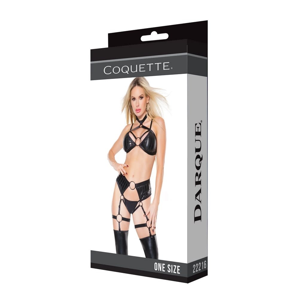 Coquette International Lingerie Bold Connection Halter Top & Crotchless Garter Panty