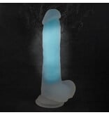 You 2 Toys Glow In The Dark Silicone Dildo
