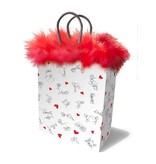 Little Genie Gift Bag: Sex Positions Stick Figures