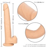 Cal Exotics Size Queen 12" Jelly Dildo (Ivory)
