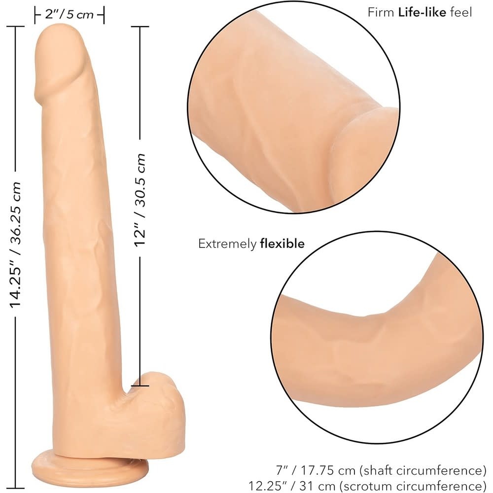 Cal Exotics Size Queen 12" Jelly Dildo (Ivory)